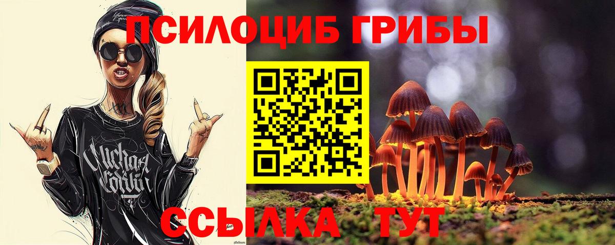 Галлюциногенные грибы мицелий  Вход с VPN  Чебаркуль 